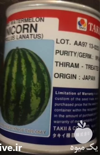 فروش بذر هندوانه تاکی ارگون در بوشهر در گروه خرید و فروش بذر هندوانه در یکمیوه -عکس1