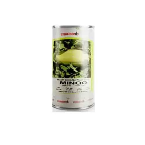 فروش بذر خربزه خاتونی مینو هلندی در آذربایجان شرقی در گروه خرید و فروش بذر خربزه در یکمیوه -عکس1