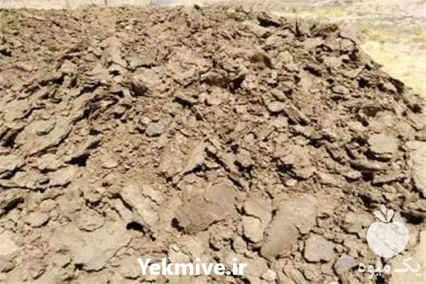 فروش ارسال کود گاوی با نیسان در تهران در گروه خرید و فروش کود گاوی در یکمیوه -عکس1