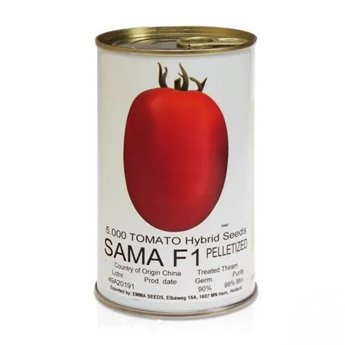 خرید توزیع بذر گوجه فرنگی سما در اصفهان در گروه خرید و فروش بذر گوجه در یکمیوه -عکس1