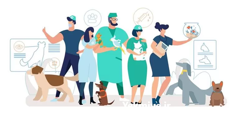 ویزیت در محل دامپزشک در گروه خدمات دام و طیور در یکمیوه -عکس1