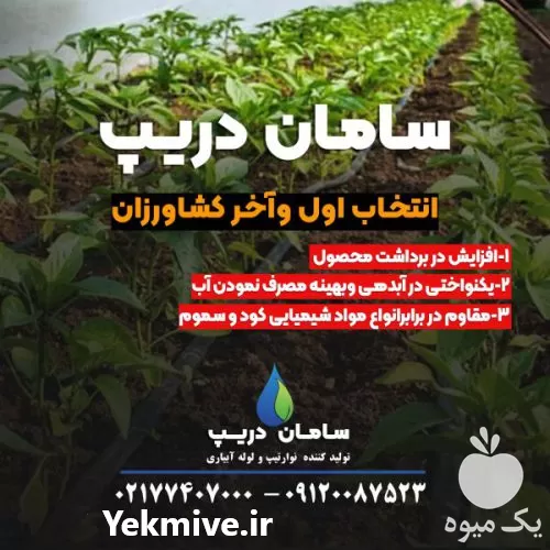 نوار تیپ آبیاری سایز سامان دریپ در تهران در گروه خرید و فروش نوار تیپ در یکمیوه -عکس1