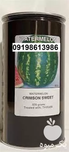 هندوانه کانیون پر فروش اصل شیرین در گروه خرید و فروش هندوانه در یکمیوه -عکس1