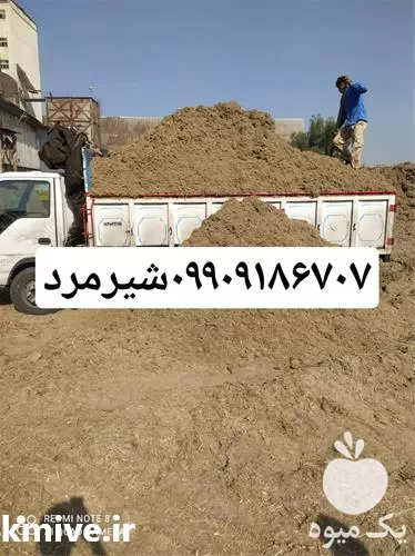 فروش کاه نیشکر باگاس و پیت در خوزستان در گروه خوراک دام و طیور در یکمیوه -عکس1