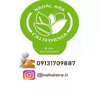 فروش نهال انار در آذربایجان غربی در گروه خرید و فروش نهال انار در یکمیوه