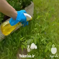 فروش علف کشی های درجه یک در فارس در گروه خرید و فروش انواع سم در یکمیوه