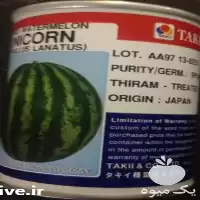 فروش بذر هندوانه تاکی ارگون در بوشهر در گروه خرید و فروش بذر هندوانه در یکمیوه