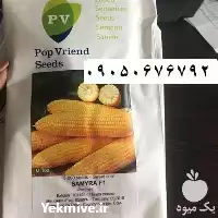 بذر ذرت شیرین سمیرا پوپ هلند در فارس در گروه خرید و فروش بذر ذرت در یکمیوه