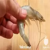 آموزش پرورش میگو در گروه دوره آموزش کشاورزی در یکمیوه