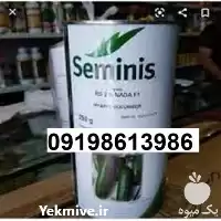 قیمت خرید سفارش بذر خیار N 2 در گروه خرید و فروش بذر خیار در یکمیوه