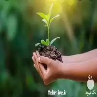 ویزیت گیاهان در منزل در تهران در گروه مشاوره گیاه پزشکی در یکمیوه