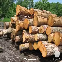 خریدار چوب چنار در البرز در گروه خرید و فروش انواع چوب در یکمیوه
