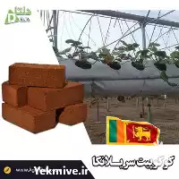 قیمت خرید کوکوپیت سریلانکا در قزوین در گروه خرید و فروش انواع کود کشاورزی در یکمیوه