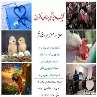 خدمات دامپزشکی پرندگان در آذربایجان غربی در گروه خدمات دام و طیور در یکمیوه