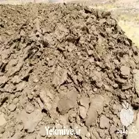 فروش ارسال کود گاوی با نیسان در تهران در گروه خرید و فروش کود گاوی در یکمیوه