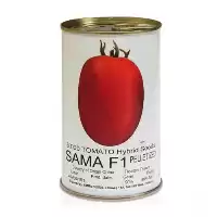 خرید توزیع بذر گوجه فرنگی سما در اصفهان در گروه خرید و فروش بذر گوجه در یکمیوه