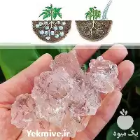 سوپر جاذب فروش و اجرا در تهران در گروه خرید و فروش انواع کود کشاورزی در یکمیوه