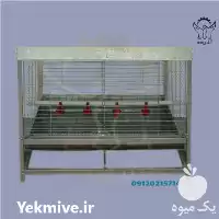 قفس جوجه یک طبقه شرکتی آشیونه در گروه تجهیزات مرغداری در یکمیوه
