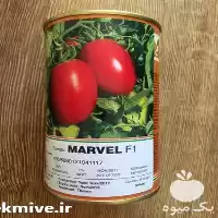 خرید بذر گوجه فرنگی مارول رقم در خوزستان در گروه خرید و فروش بذر گوجه در یکمیوه