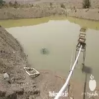 خرید دوره آموزش پرورش ماهی کپور در تهران در گروه دوره آموزش کشاورزی در یکمیوه