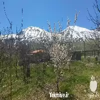 کلیه خدمات احداث باغ میوه باغ در گروه سازنده در یکمیوه