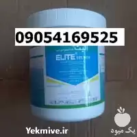 قیمت خرید نهال خرمالو سیبی در گروه خرید و فروش نهال خرمالو در یکمیوه