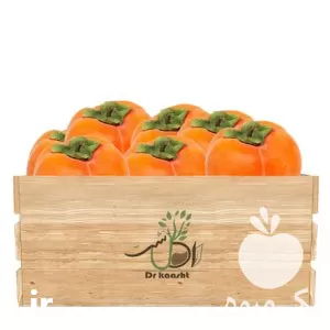 نهال خرمالو سیبی انواع ارقام خرمالو در قم در گروه خرید و فروش نهال خرمالو در یکمیوه -عکس1