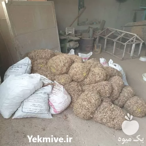 قیمت خرید پیاز زعفران در گروه خرید و فروش زعفران در یکمیوه -عکس1