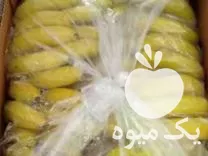فروش موز اکوادور در گروه خرید و فروش موز در یکمیوه -عکس1