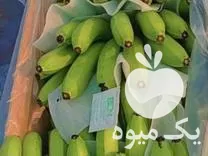 عرضه مسقیم موز صادرات در سیستان و بلوچستان در گروه خرید و فروش موز در یکمیوه -عکس1