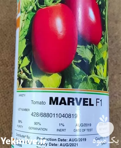 قیمت خرید بذر گوجه مارول در تهران در گروه خرید و فروش بذر گوجه در یکمیوه -عکس1