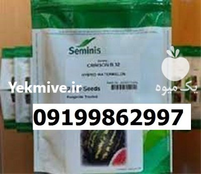 بذر هندوانه بی 32 اصل در اصفهان در گروه خرید و فروش هندوانه در یکمیوه -عکس1