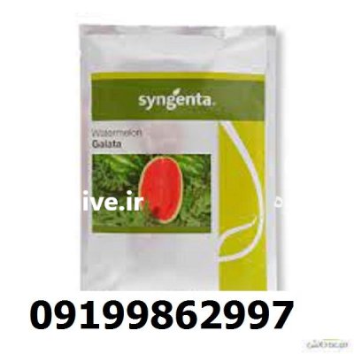 بذر هندوانه گالاتا اصل در گروه خرید و فروش هندوانه در یکمیوه -عکس1