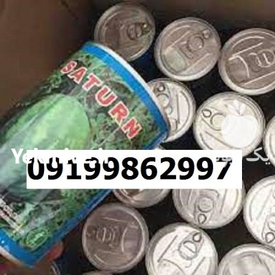 بذر هندوانه میکادو اصل در مشهد در گروه خرید و فروش هندوانه در یکمیوه -عکس1