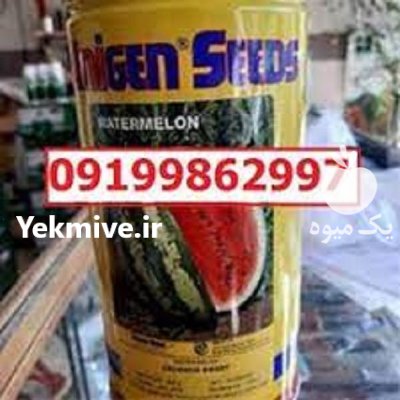 هندوانه یونی ژن سیاه اصل در کرج در گروه خرید و فروش هندوانه در یکمیوه -عکس1