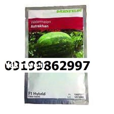 بذر هندوانه استاراخان اصل در گروه خرید و فروش هندوانه در یکمیوه -عکس1