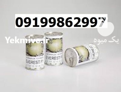 بذر هندوانه اورست در اهواز در گروه خرید و فروش هندوانه در یکمیوه -عکس1