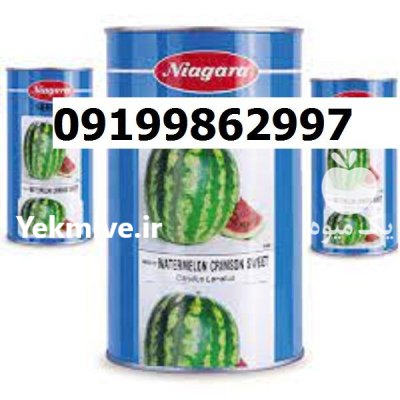 بذر هندوانه نیاگارا اصل در اصفهان در گروه خرید و فروش هندوانه در یکمیوه -عکس1