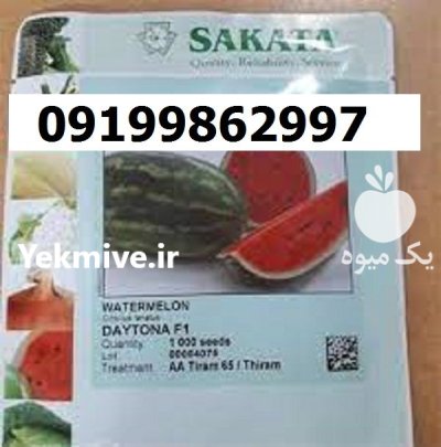 بذر هندوانه ساکاتا اصل در گروه خرید و فروش بذر هندوانه در یکمیوه -عکس1