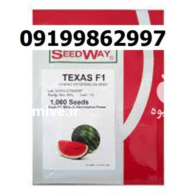 بذر هندوانه تگزاس اصل در اهواز در گروه خرید و فروش بذر هندوانه در یکمیوه -عکس1