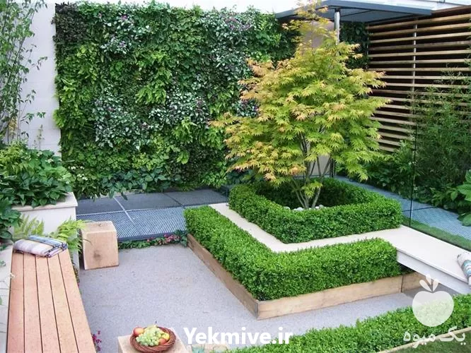 خاک روف گاردن در تهران در گروه انواع محصولات خاک و تغذیه در یکمیوه -عکس1