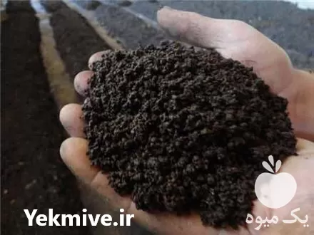 کود کمپوست در شیراز در گروه خرید و فروش کود کمپوست در یکمیوه -عکس1
