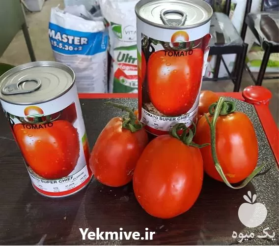 خرید بذر گوجه فرنگی سوپر چف در آذربایجان غربی در گروه خرید و فروش بذر گوجه در یکمیوه -عکس1