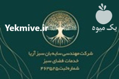 خدمات چمن زنی و چمنکاری در تهران در گروه سایر خدمات در یکمیوه -عکس2