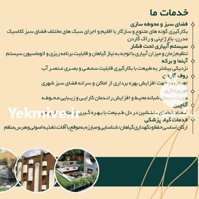خدمات چمن زنی و چمنکاری در تهران در گروه سایر خدمات در یکمیوه -عکس3