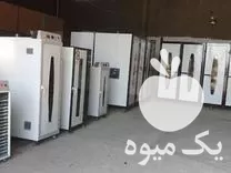 خط تولید فراوری میوه خشک کشمش در گروه خشک کن در یکمیوه -عکس1