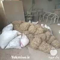 قیمت خرید پیاز زعفران در گروه خرید و فروش زعفران در یکمیوه