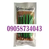 بذر خیار ویکتوریا بذر پر بار در گلستان در گروه خرید و فروش بذر خیار در یکمیوه