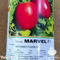 قیمت خرید بذر گوجه مارول در تهران در گروه خرید و فروش بذر گوجه در یکمیوه