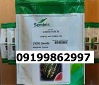 بذر هندوانه بی 32 اصل در اصفهان در گروه خرید و فروش هندوانه در یکمیوه